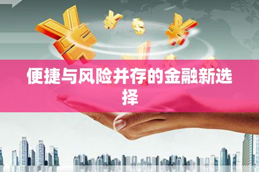 德庆便捷与风险并存的金融新选择