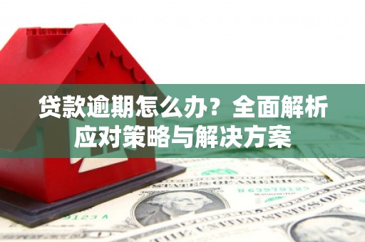德庆贷款逾期怎么办？全面解析应对策略与解决方案