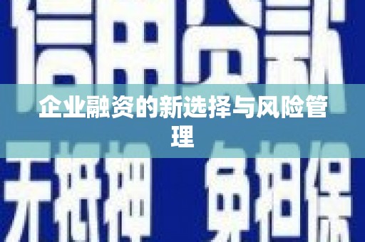 德庆企业融资的新选择与风险管理