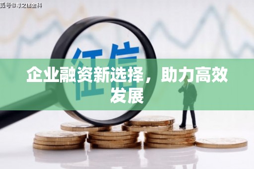 德庆企业融资新选择，助力高效发展