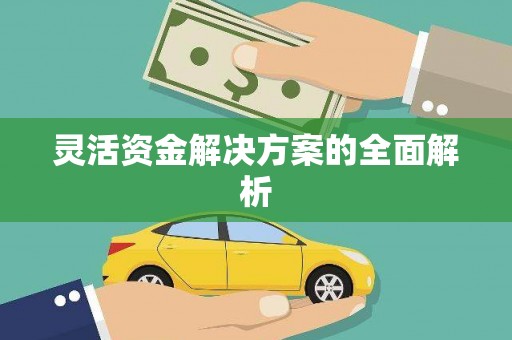 德庆灵活资金解决方案的全面解析