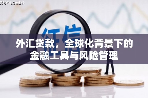 德庆外汇贷款，全球化背景下的金融工具与风险管理